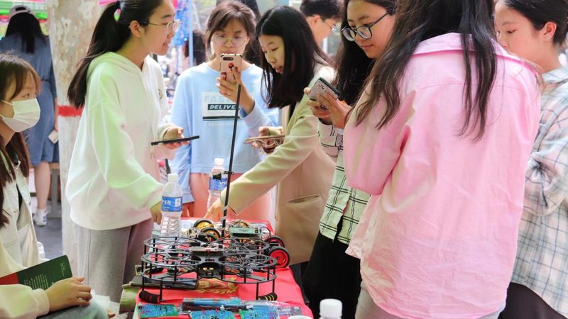 医疗数据服务方案分类：探索高效信息管理之道